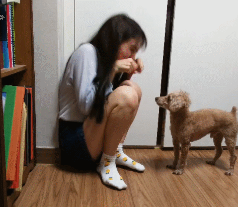 아프리카TV 확뜬이후로 어린나이에 월이천오백만원 버는 비제이 | 인스티즈