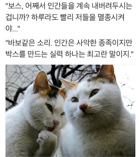 인간이 아직 멸종하지 않은 이유 | 인스티즈