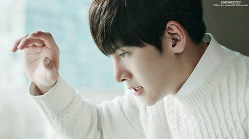 대형견같은 남자 vs 고양이같은 남자 | 인스티즈