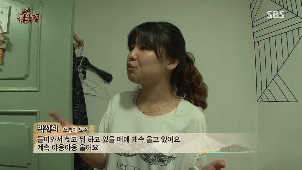 [동물농장] 존트 할말 다 하고 사는 수다쟁이 고양이 쪼롱이ㅋㅋㅋㅋ.jpg (스압) | 인스티즈