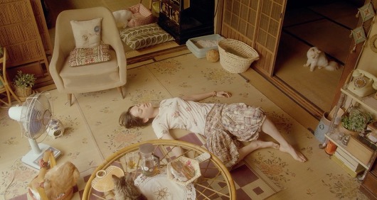 [영화] 고양이를 빌려드립니다.jpgif | 인스티즈