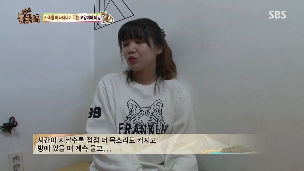 [동물농장] 존트 할말 다 하고 사는 수다쟁이 고양이 쪼롱이ㅋㅋㅋㅋ.jpg | 인스티즈
