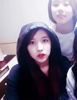 [트와이스] 아기맹수 채영이 악성 사생팬 ㄷㄷㄷ | 인스티즈