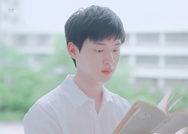 SBS 뉴스에 나온 유명 아이돌 경희대 대학원 부정 입학 내용.jpg | 인스티즈