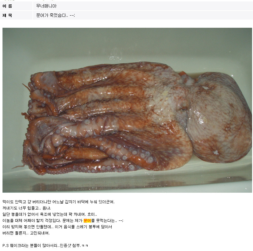 문어가 죽엇슴다.. ; | 인스티즈