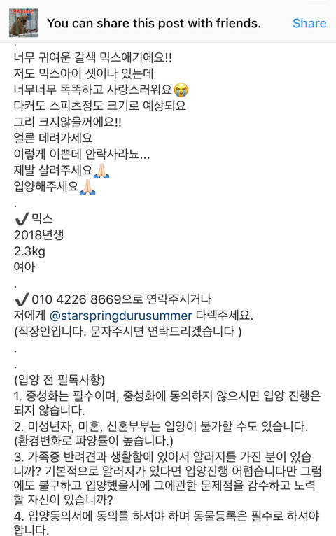 안락사확정된 아이들 보고가주라 ㅠㅠ 부탁해 | 인스티즈