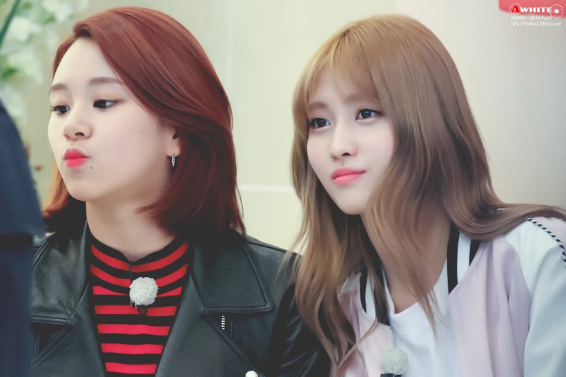 트와이스 좁발이 | 인스티즈