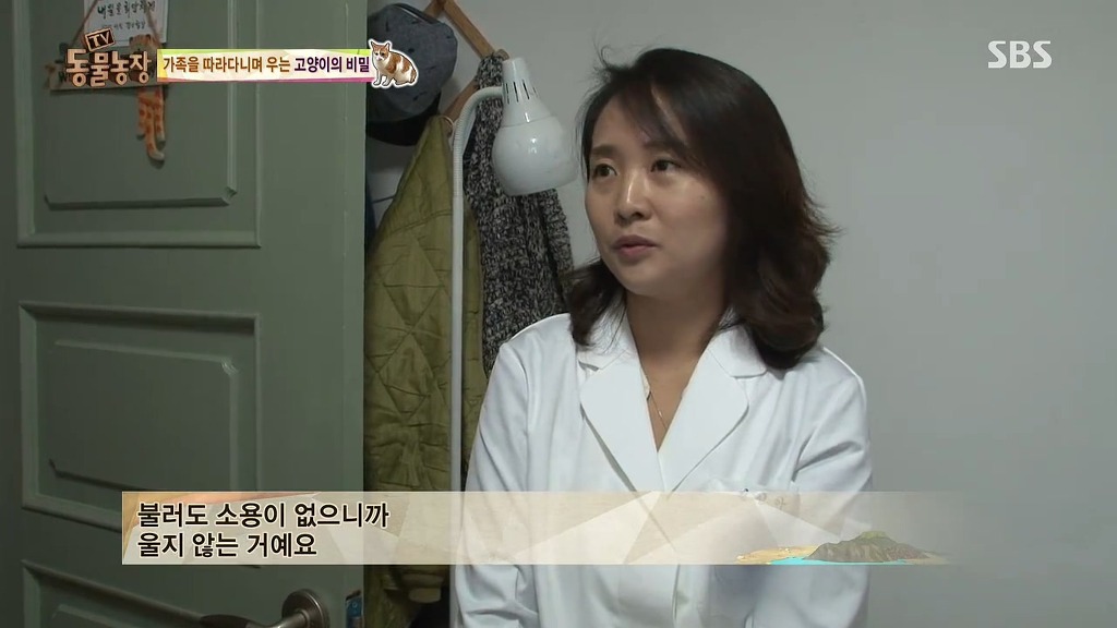[동물농장] 존트 할말 다 하고 사는 수다쟁이 고양이 쪼롱이ㅋㅋㅋㅋ.jpg (스압) | 인스티즈