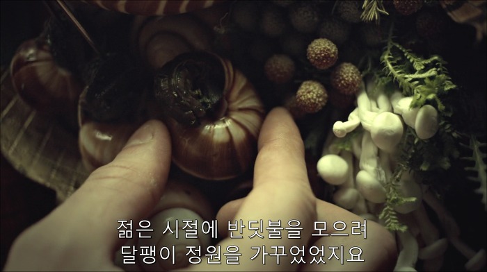 [로맨틱스릴러미드] 한니발 (Hannibal) 시즌3 에피5 (1/4) | 인스티즈