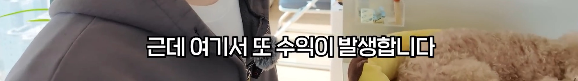유투버들이 영상에 쿠팡 링크를 걸어놓는 이유 | 인스티즈