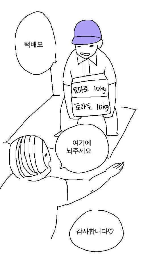 토마토 다이어트 | 인스티즈