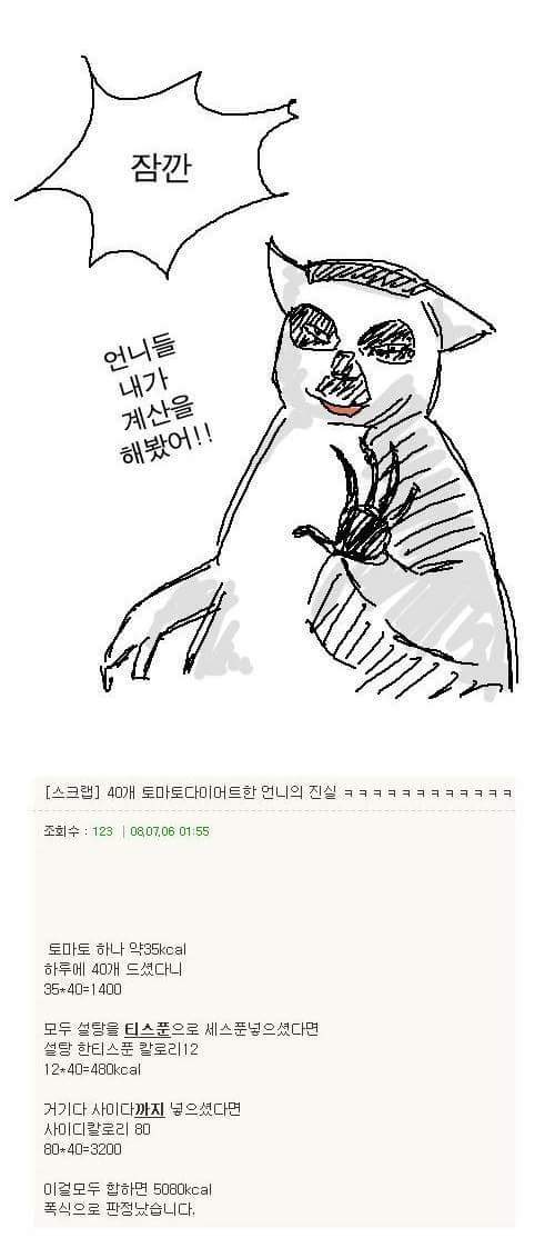 토마토 다이어트 | 인스티즈