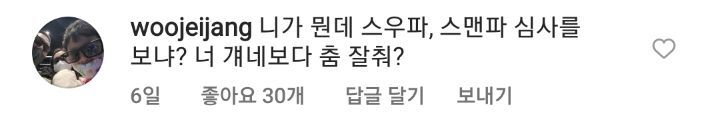 스맨파 팬덤한테 인스타 악플 테러 당하는 중인 보아 | 인스티즈