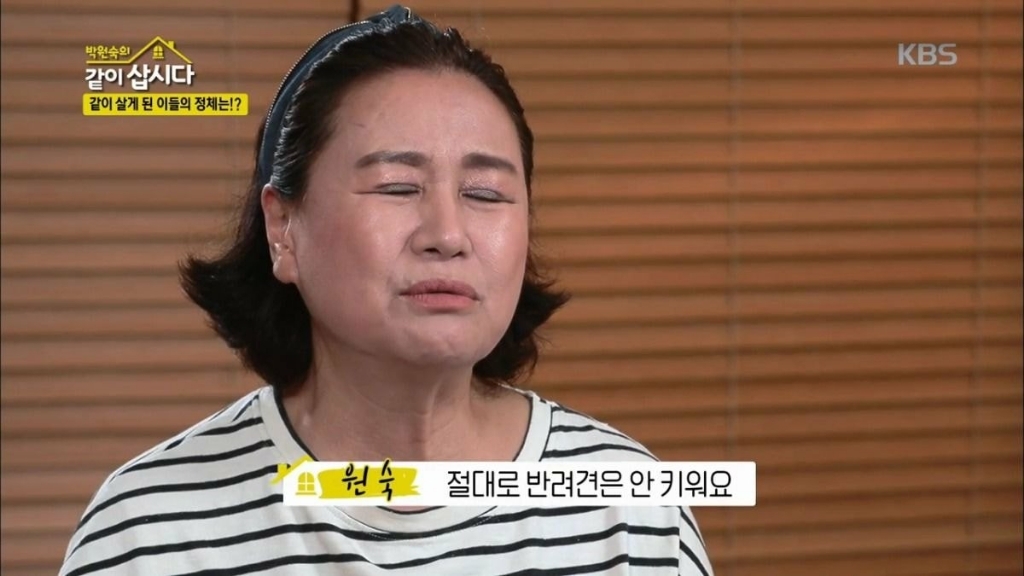 이제 더이상 반려견을 키우지 않겠다는 배우 박원숙.jpg | 인스티즈