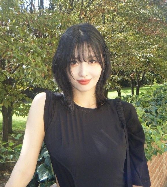 여자연예인 단발 스타일링 모음 | 인스티즈