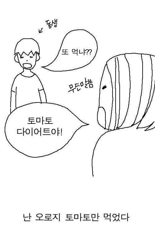 토마토 다이어트 | 인스티즈