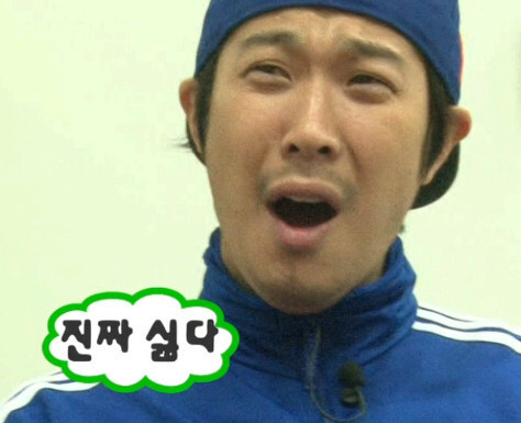 강아지 산책시킬때,들으면 확 짜증나는 말들!! | 인스티즈