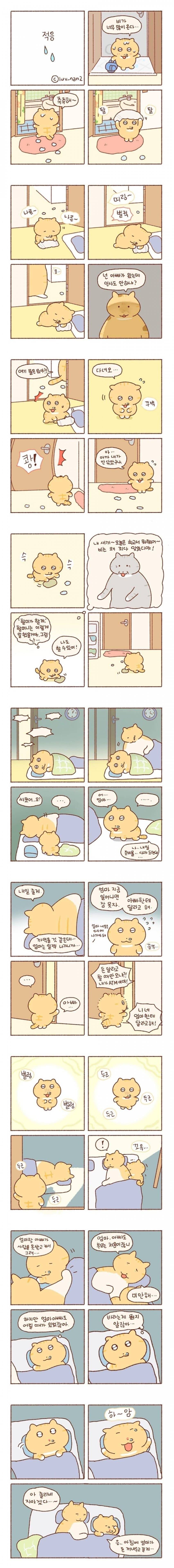 어렸을적 은근히 많다는 집안 사정 케이스 | 인스티즈