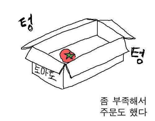 토마토 다이어트 | 인스티즈