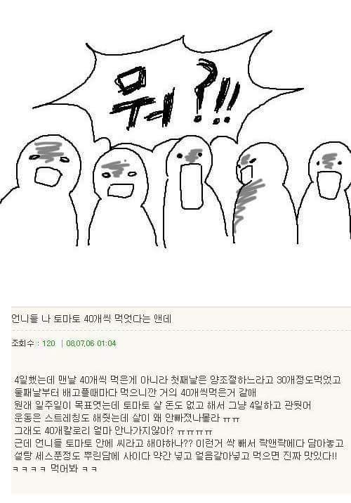 토마토 다이어트 | 인스티즈
