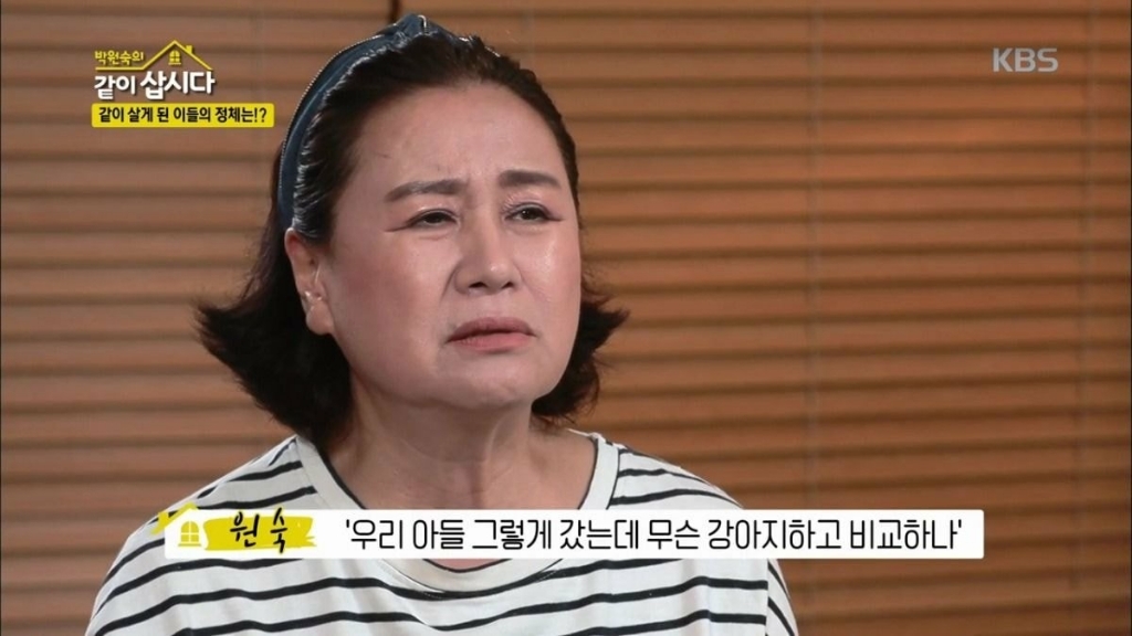 이제 더이상 반려견을 키우지 않겠다는 배우 박원숙.jpg | 인스티즈