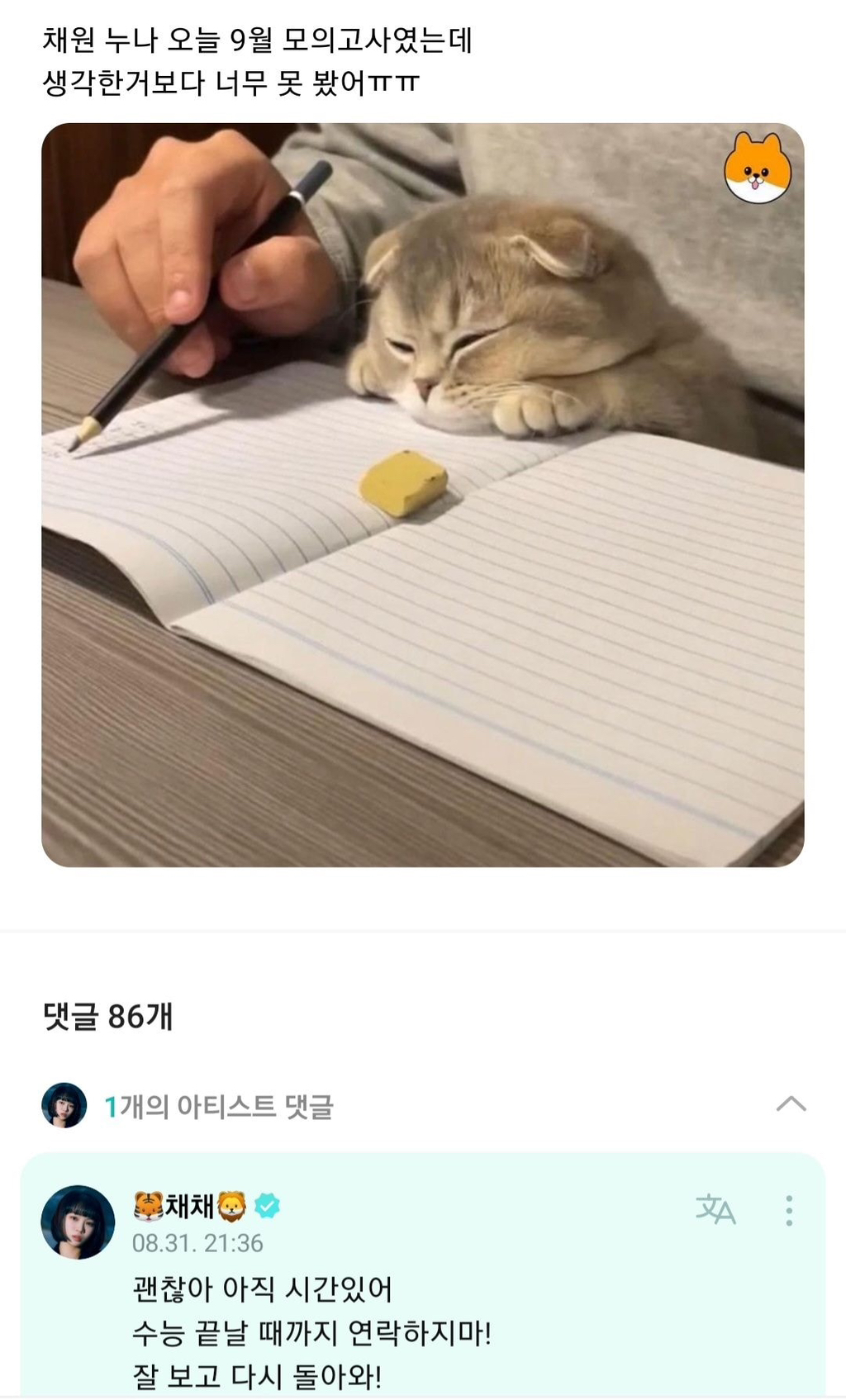 ??? : 야 ISTP 아이돌들 고민상담 컨텐츠 못하게해라 | 인스티즈