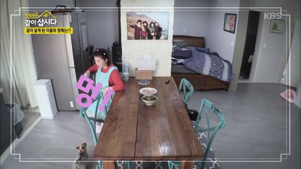 이제 더이상 반려견을 키우지 않겠다는 배우 박원숙.jpg | 인스티즈