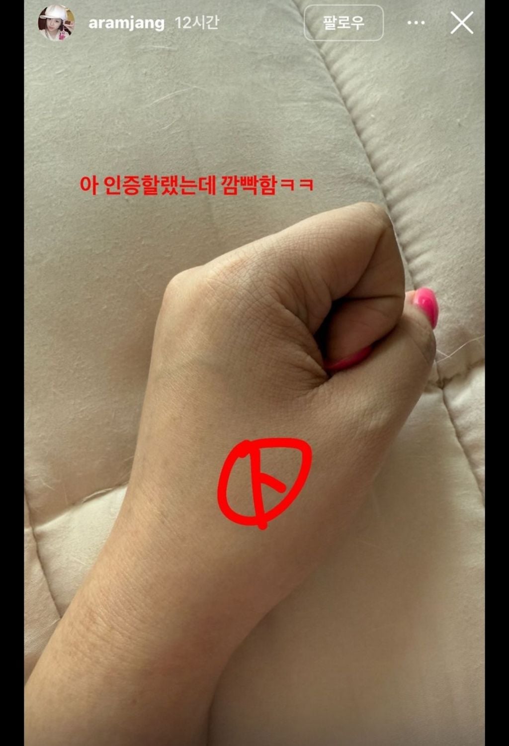 내란 이후에도 2찍 티 냈다가 논란난 연예인과 인플루언서 | 인스티즈
