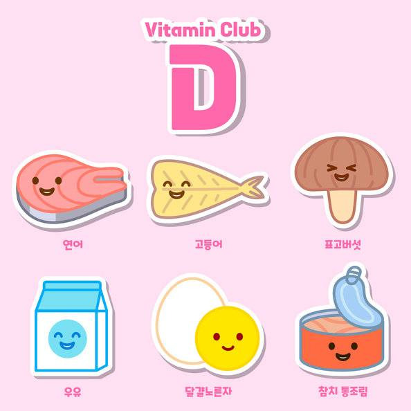 하버드 의사 "75세 미만 성인, 비타민 D 보충제 불필요”[노화설계] | 인스티즈