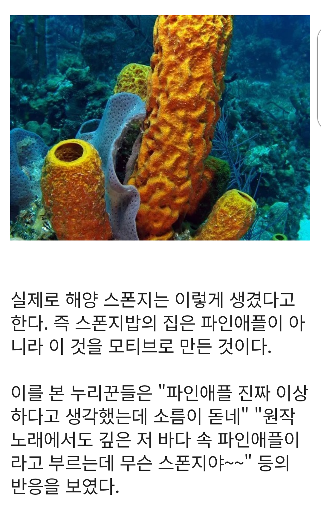 덕후들도 모르는 '스폰지밥' 집이 왜 파인애플 모양인 이유 | 인스티즈