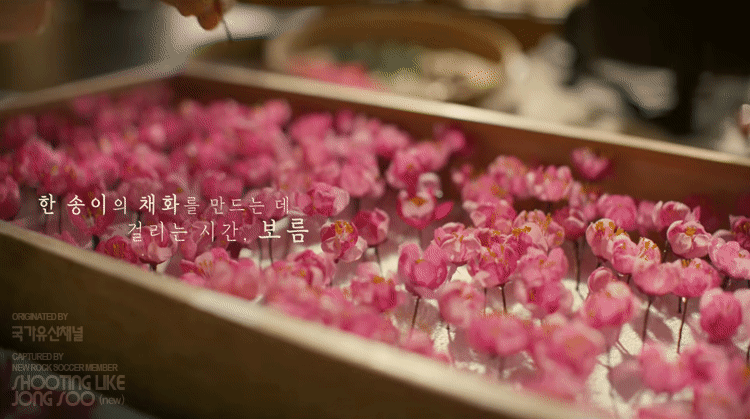 국가유산채널 : 중국유산으로 오해받던 가장 화려한 우리 유산, 궁중채화 | 인스티즈