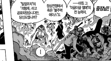 원피스에서 해군이 노답인 이유 | 인스티즈