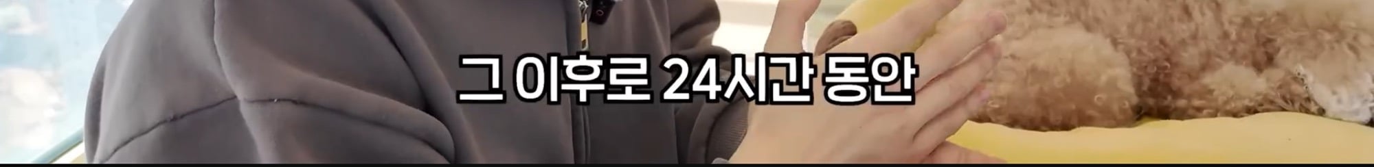 유투버들이 영상에 쿠팡 링크를 걸어놓는 이유 | 인스티즈