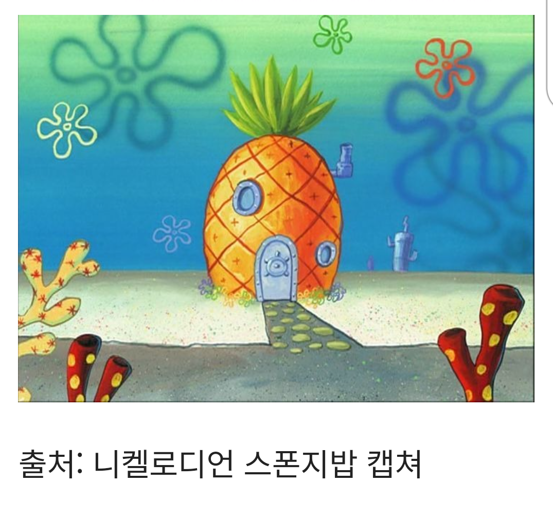 덕후들도 모르는 '스폰지밥' 집이 왜 파인애플 모양인 이유 | 인스티즈
