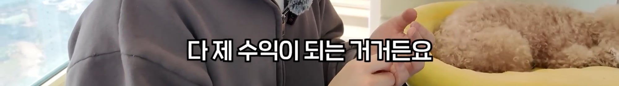 유투버들이 영상에 쿠팡 링크를 걸어놓는 이유 | 인스티즈