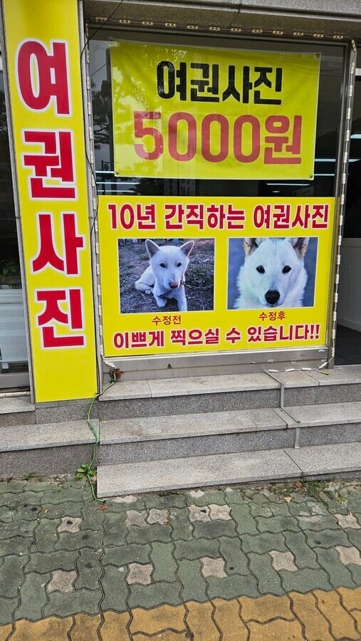 여권사진 보정 근황 | 인스티즈