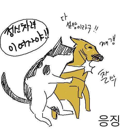토마토 다이어트 | 인스티즈