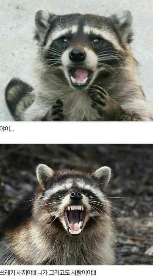 여고딩 노출 | 인스티즈
