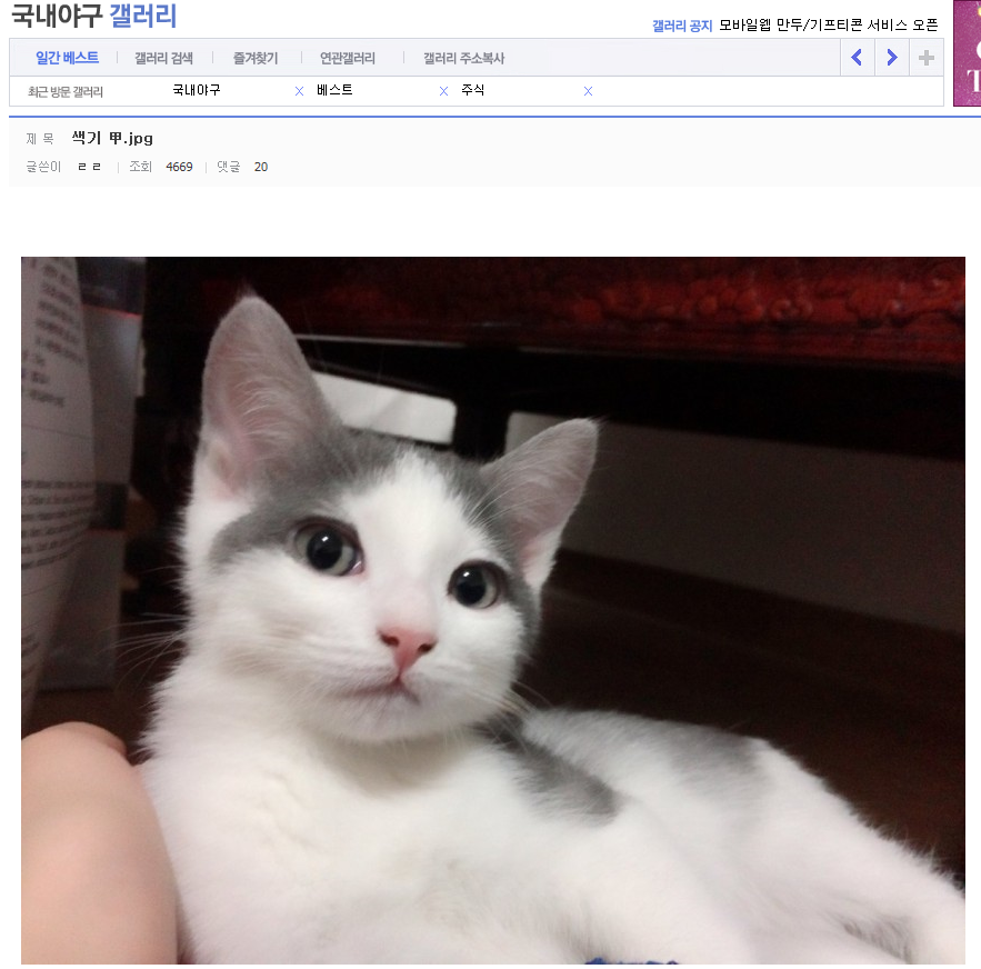 색기 甲.jpg 란 제목으로 올라온 사진 | 인스티즈