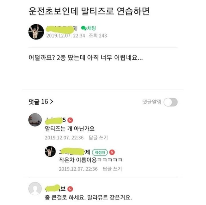 운전초보인데 말티즈로 연습하면 되나요? | 인스티즈