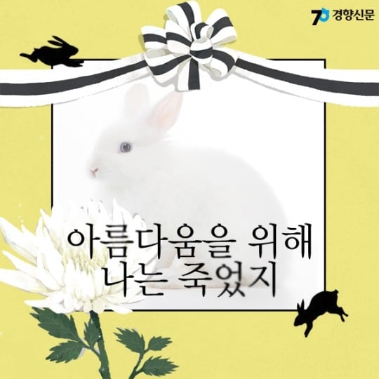 동물실험을 안하는 화장품을 쓰시지말입니다.jpg | 인스티즈