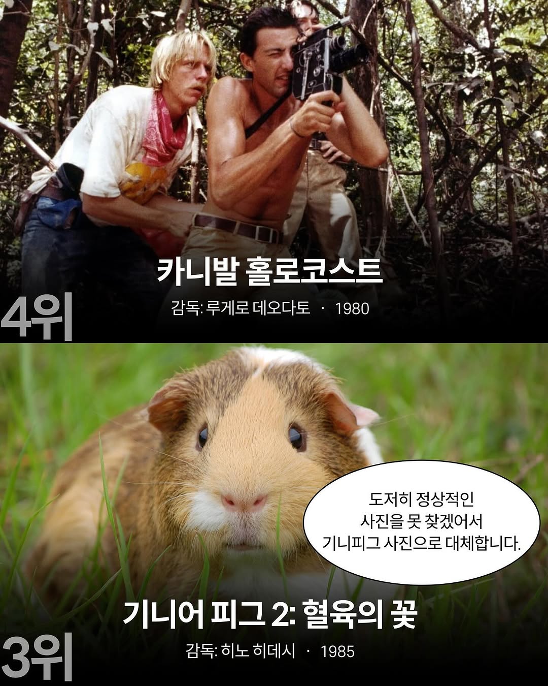역대 가장 불쾌한 영화 20위 | 인스티즈