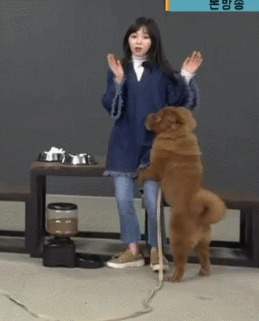 민아보고 발정난 개.gif | 인스티즈