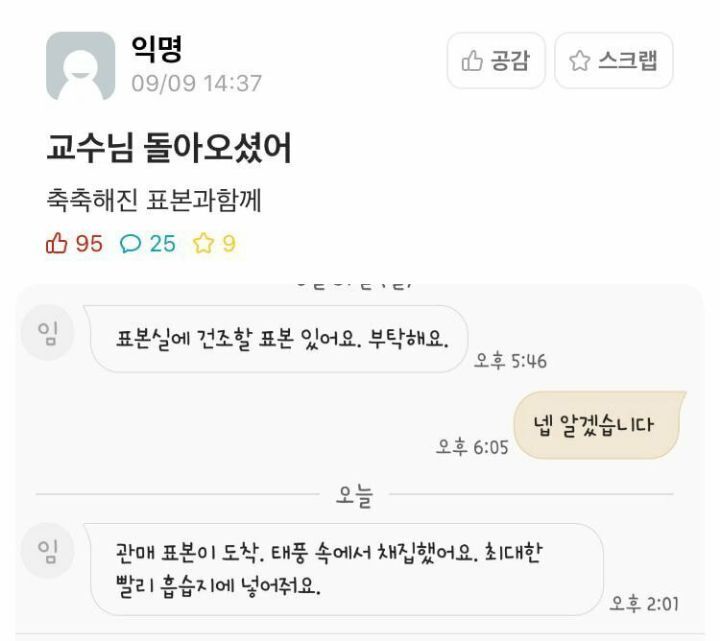 우리 언니 대학원 가는 기념으로 대학생활 & 대학원 짤 줄께 스압주의 | 인스티즈