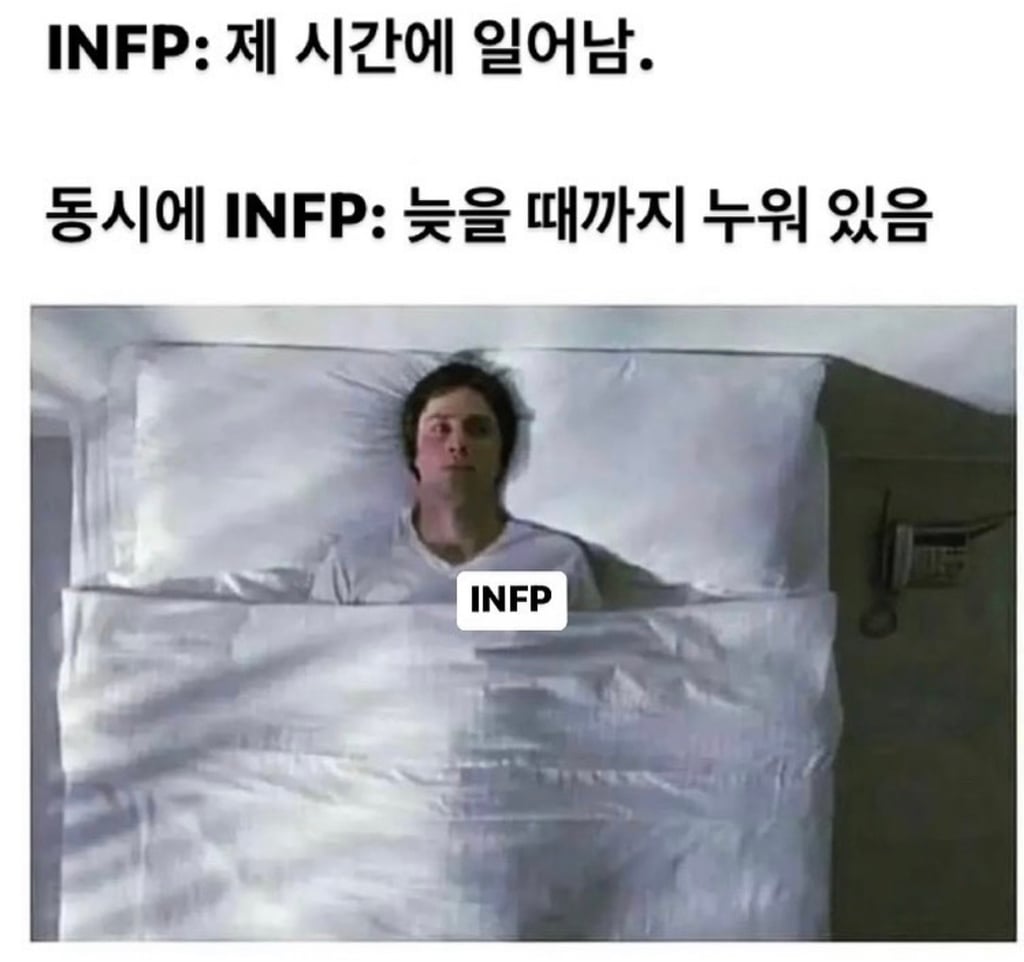찐 INFP가 공감한 INFP밈 | 인스티즈