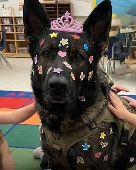 유치원 체험행사에 간 경찰견 | 인스티즈