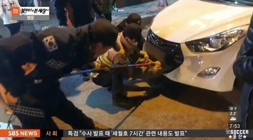 차에 치인 강아지.jpgif (훈훈주의) | 인스티즈