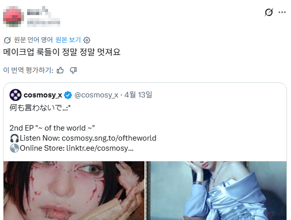 외국에선 반응 좋은데 한국에선 반응 별로인 아이돌 컨셉...jpg | 인스티즈