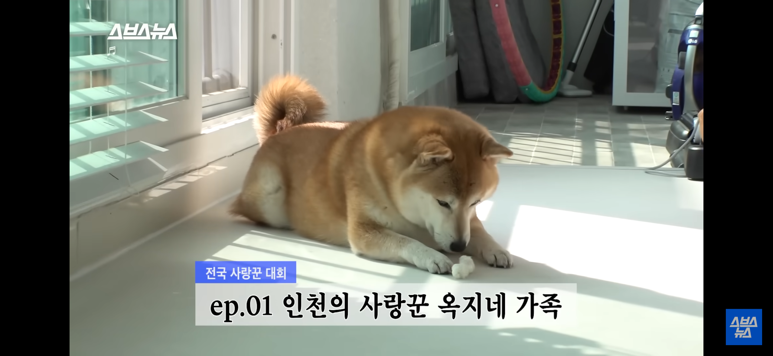이혼숙려캠프 본 뒤에 이거 꼭 봐야함 ㅠㅠ | 인스티즈