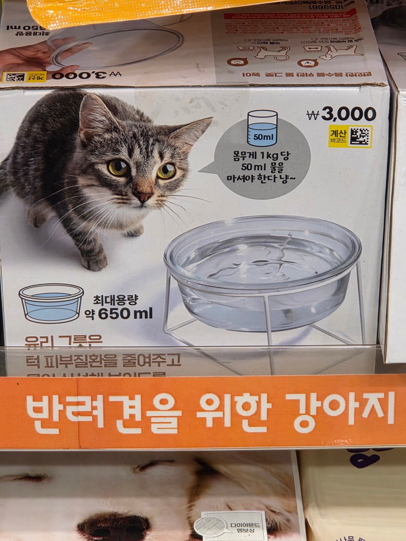 다이소에 고양이, 강아지 물그릇 나온거 알고 계시나요.... | 인스티즈